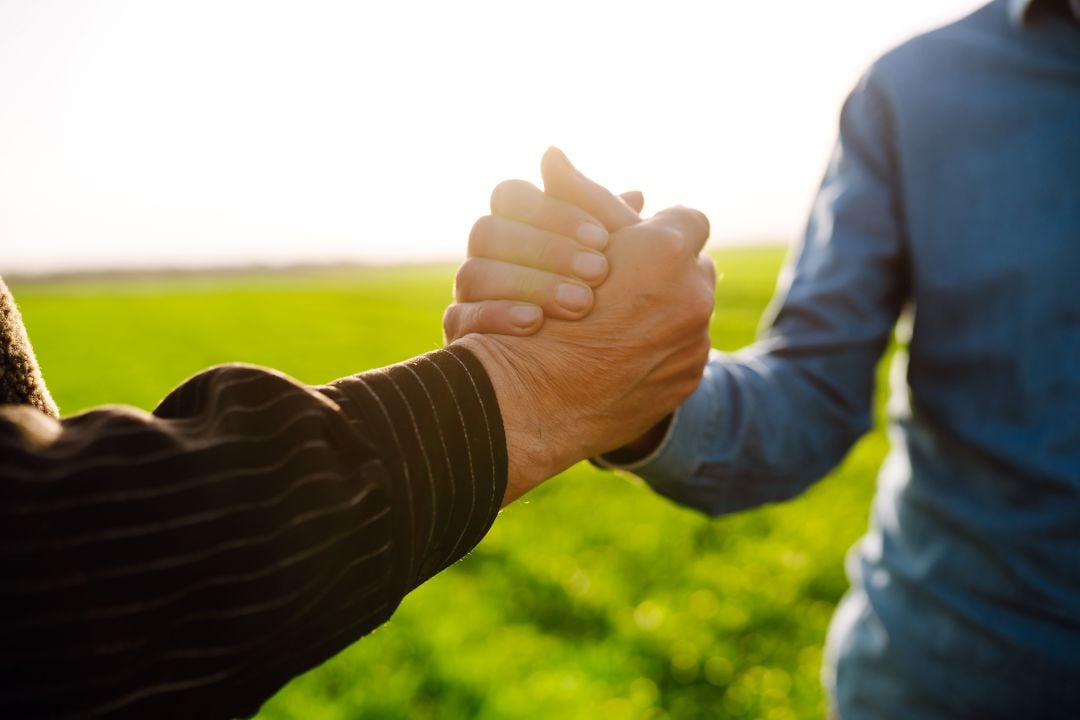 two hands in a handshake